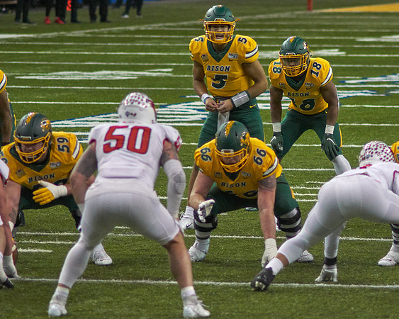 2019 1214 Bison 114