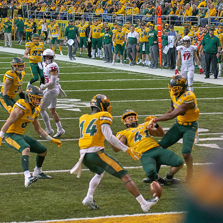 2019 1214 Bison 236