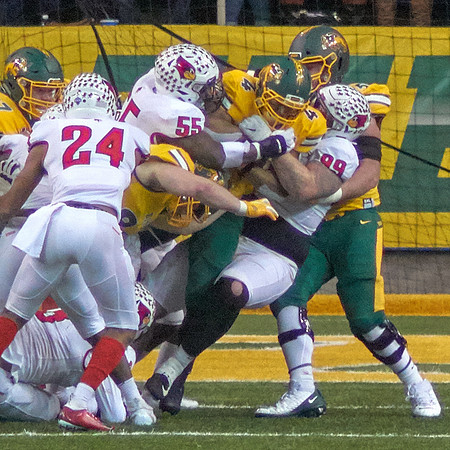 2019 1214 Bison 128