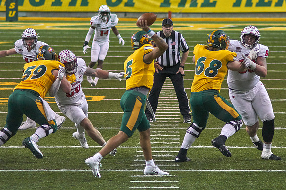 2019 1214 Bison 137