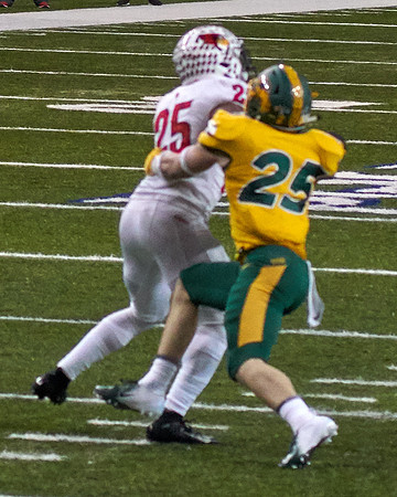 2019 1214 Bison 237