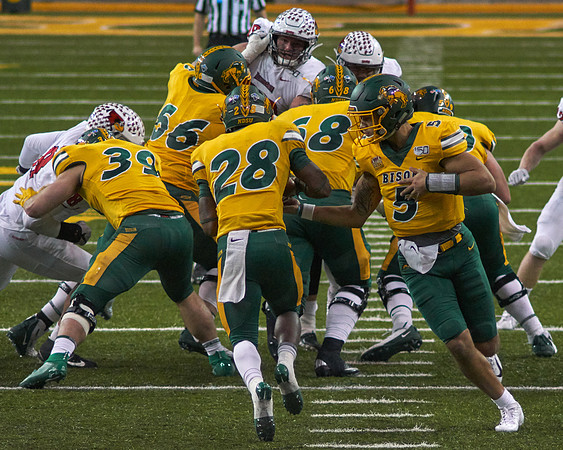 2019 1214 Bison 136