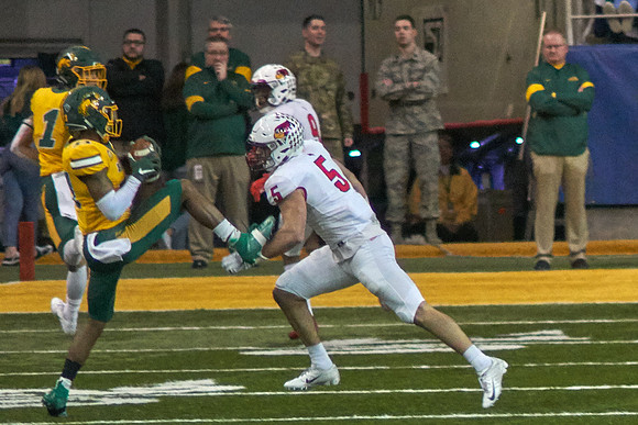 2019 1214 Bison 160