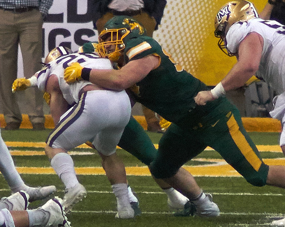 2019 1221 Bison 451