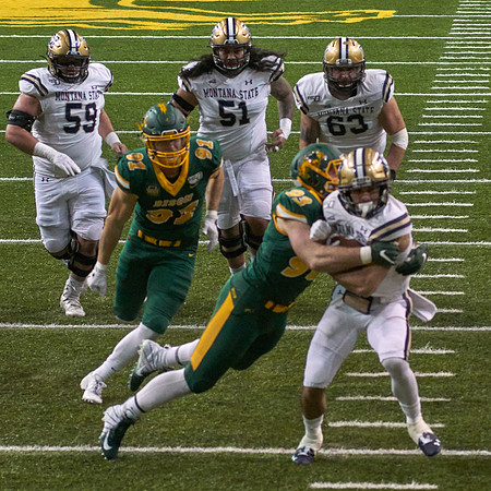 2019 1221 Bison 169