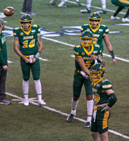 2019 1221 Bison 019