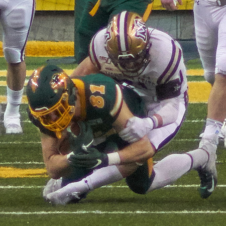 2019 1221 Bison 143