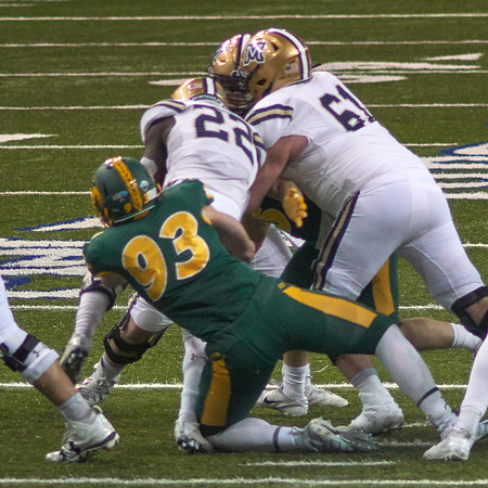 2019 1221 Bison 065