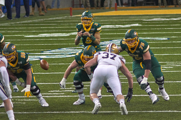 2019 1221 Bison 094