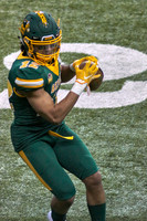 2019 1221 Bison 027