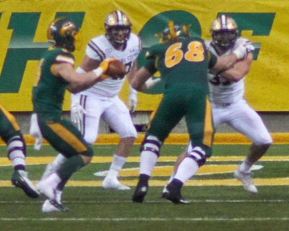2019 1221 Bison 219