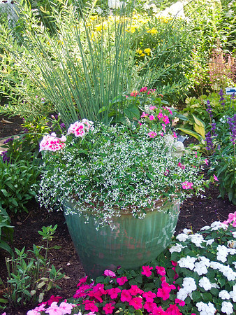 Flower Pot Reflections