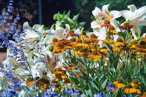 Blue, White, And Yellow