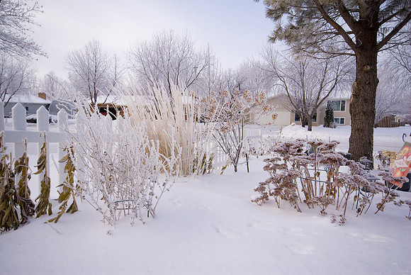 White Garden