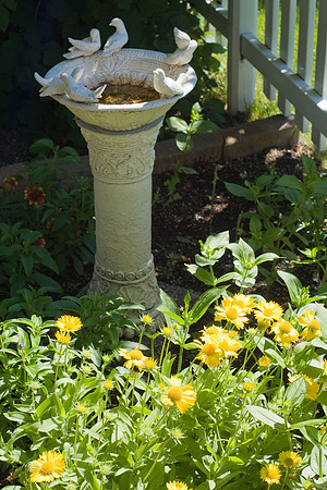 Birdbath