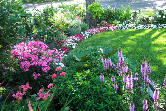 Pink And White