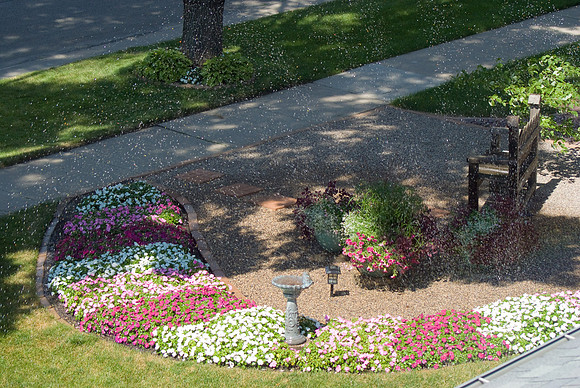 Yard Sprinkler