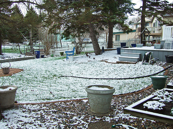 Backyard UND Colors