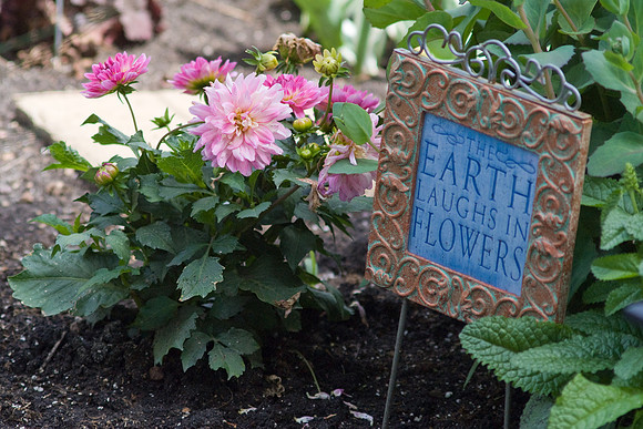 The Earth Laughs In Flowers