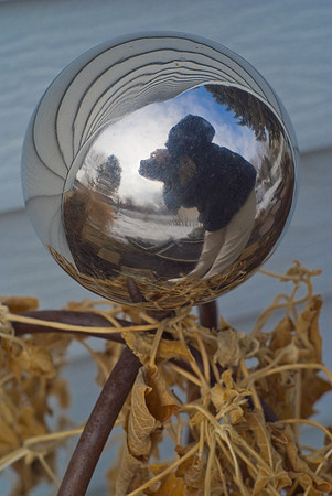 Gazing Ball