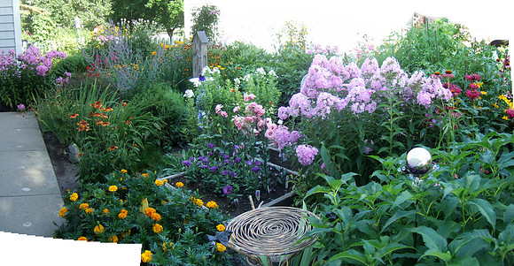 Main South Garden View
