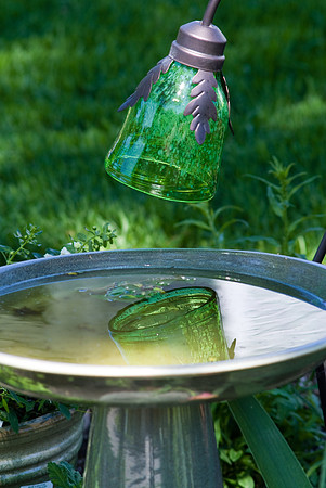 New Birdbath Reflection