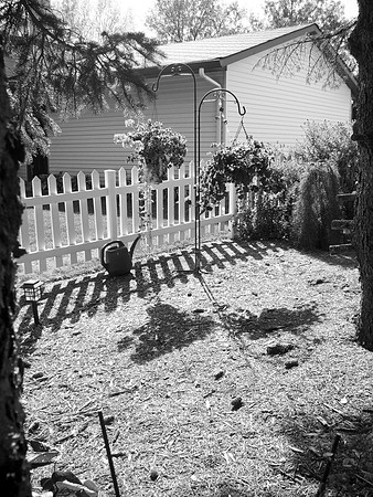 Hanging Shadows