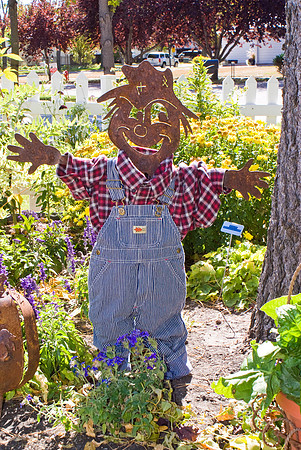 Scarecrow Working In The Garden