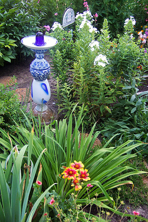 Gaillardia And Birdbath