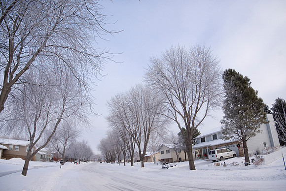 Great White North
