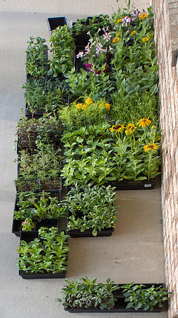 Porch Flats