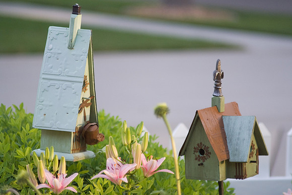 Birdhouses