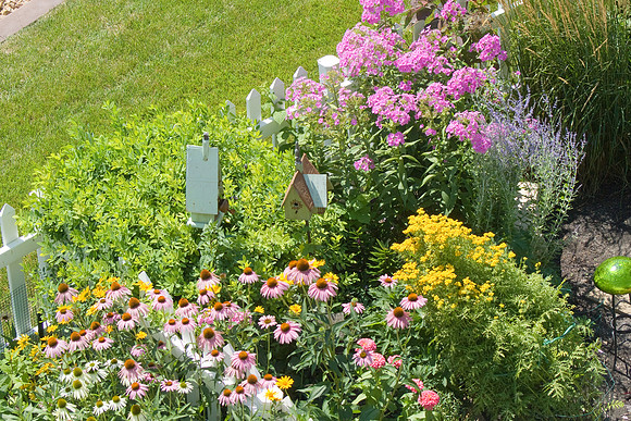 Bird's Eye View Of Birdhouses