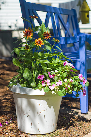 Blue Bench Planter
