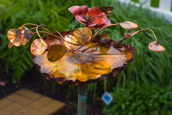 Bird Bath