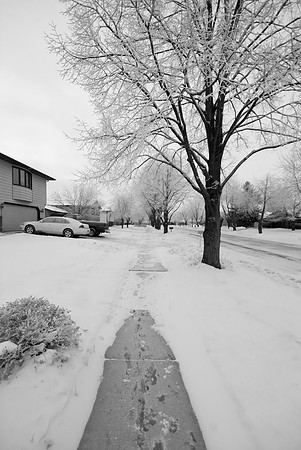 The Way Home