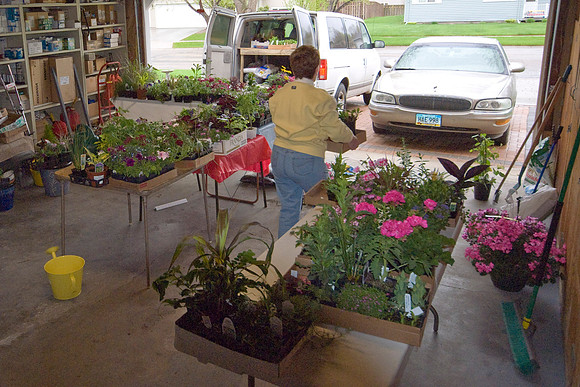 Loading Plants