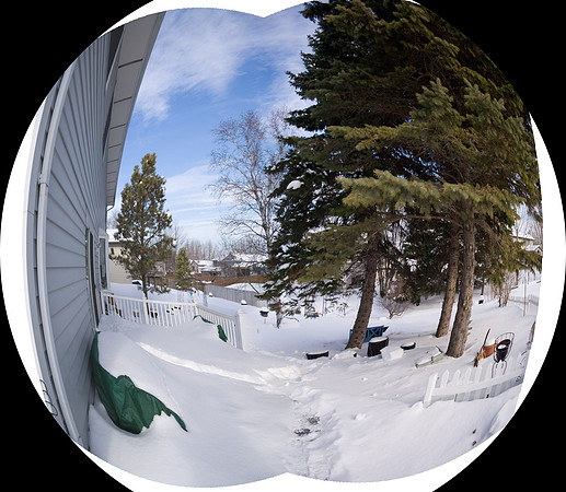 Fisheye Backyard