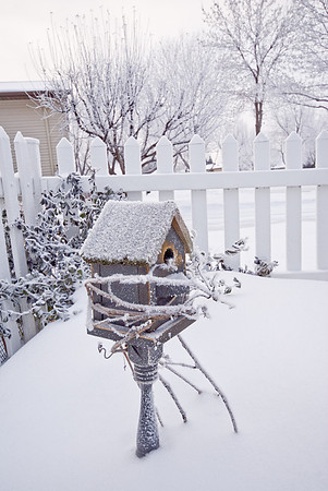 Snowy Bird House