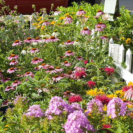 Main South Garden In Bloom