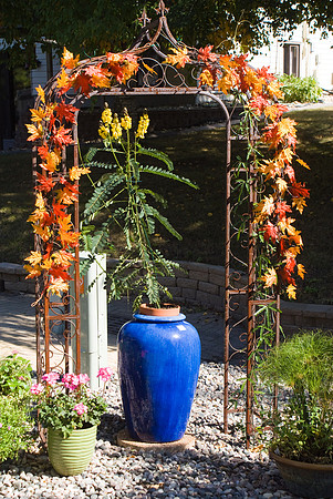 Authumn Trellis