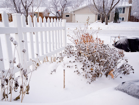 White Picket Fence