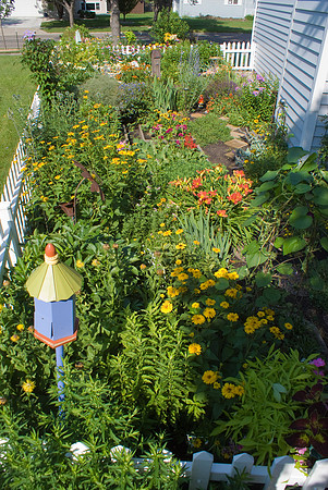 Main South Garden