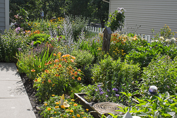 Main Garden Back Lit