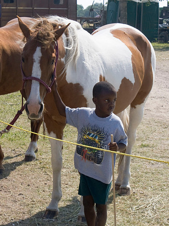 Pet The Pony