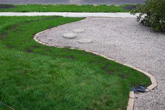 Grass Seed