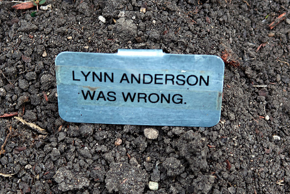Rose 'Lynn Anderson Was Wrong'