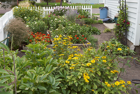 Main South Garden