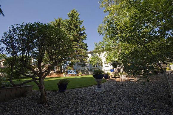 Backyard from NE Corner