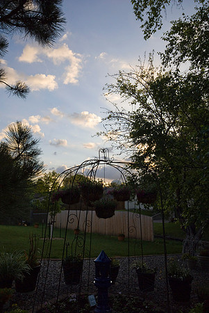 Dawn Clouds